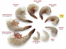 Load image into Gallery viewer, CenSea Uncooked Shrimps 31/40 2lb
